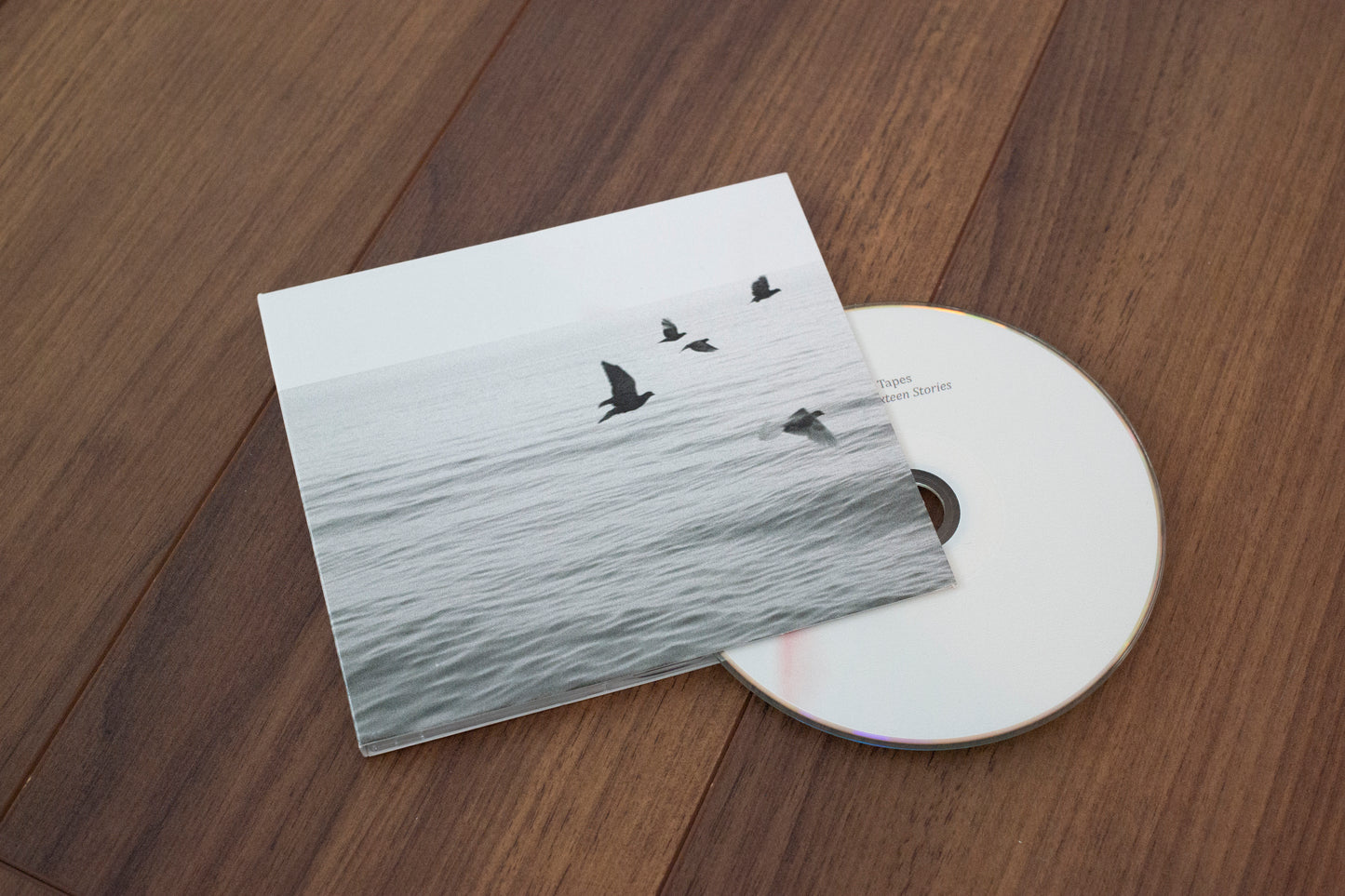 Views From Sixteen Stories (Vinyl/CD)