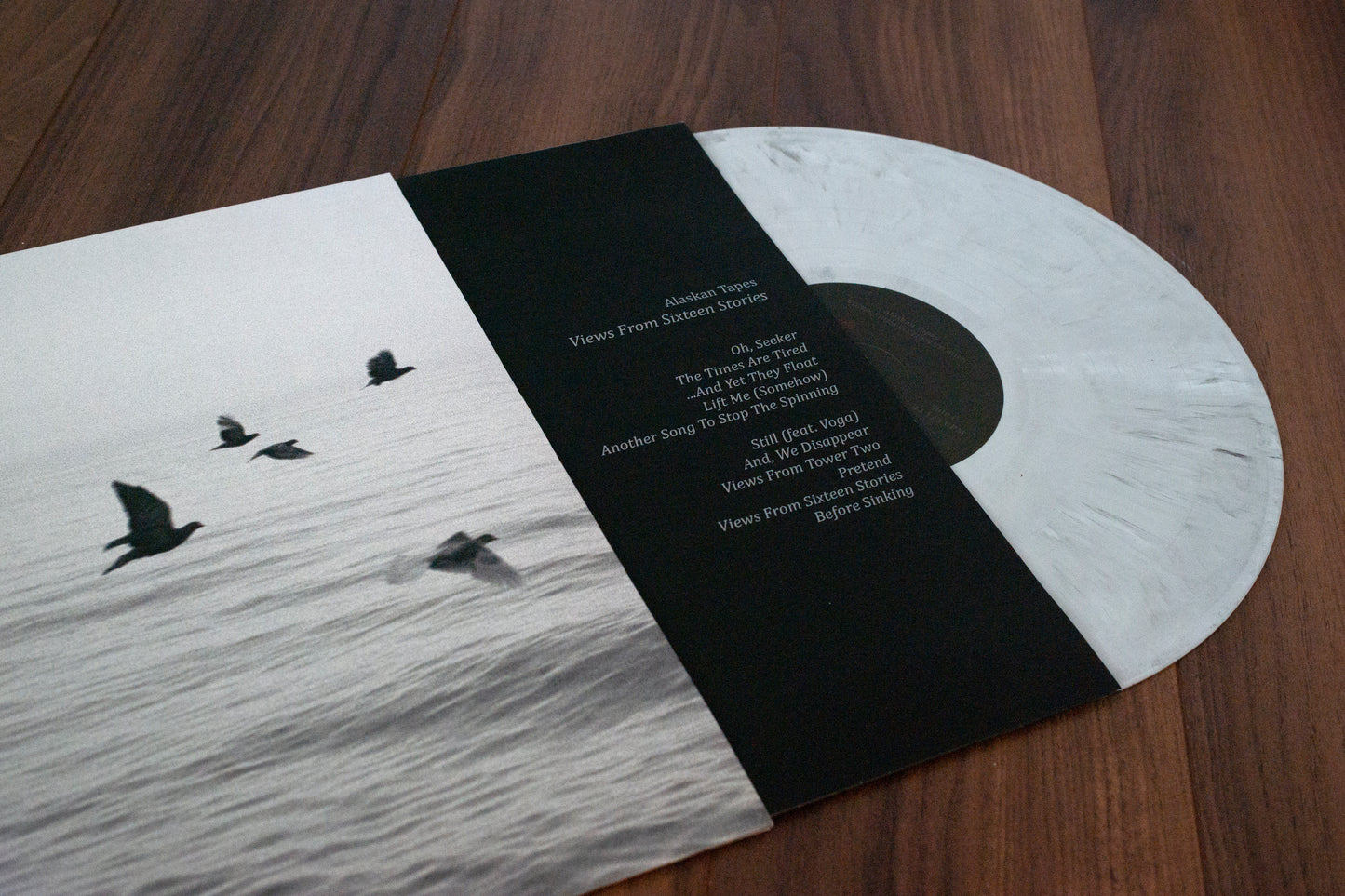 Views From Sixteen Stories (Vinyl/CD)