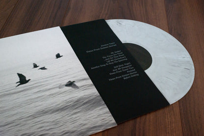 Views From Sixteen Stories (Vinyl/CD)