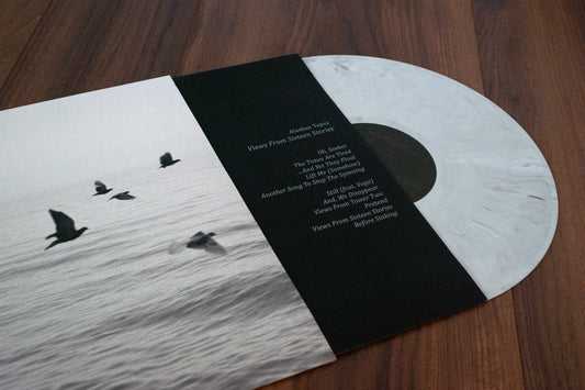 Views From Sixteen Stories (Vinyl/CD)