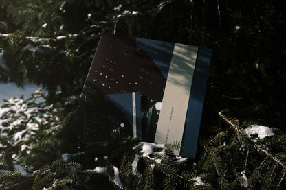 For Us Alone (Vinyl/CD)