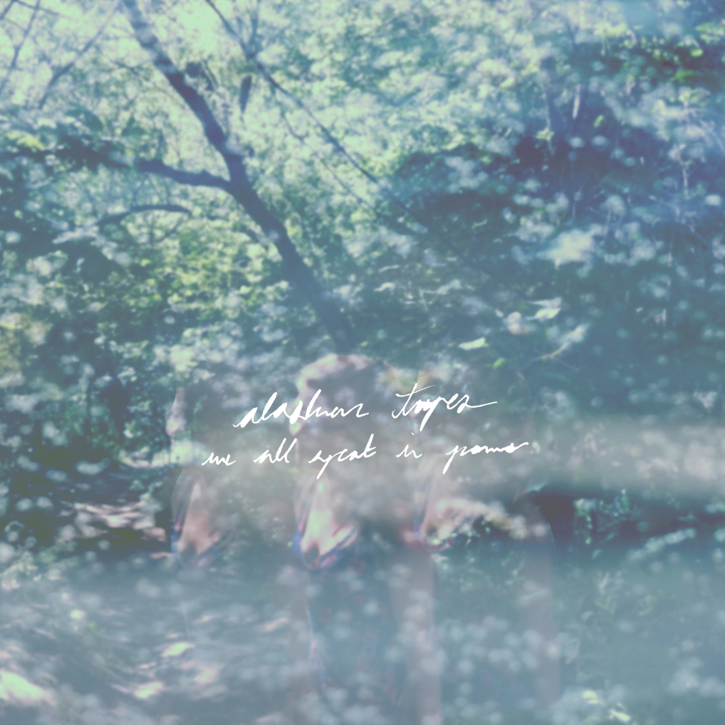 We All Speak In Poems (Vinyl)